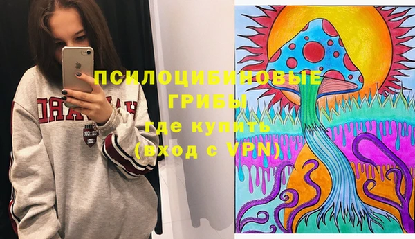 бутират Богородицк