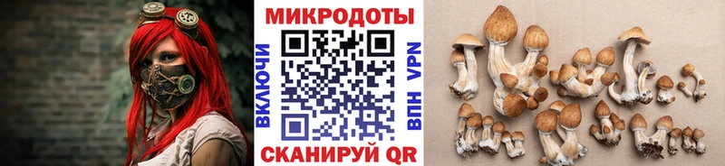 где найти   Нарткала  Псилоцибиновые грибы мухоморы 